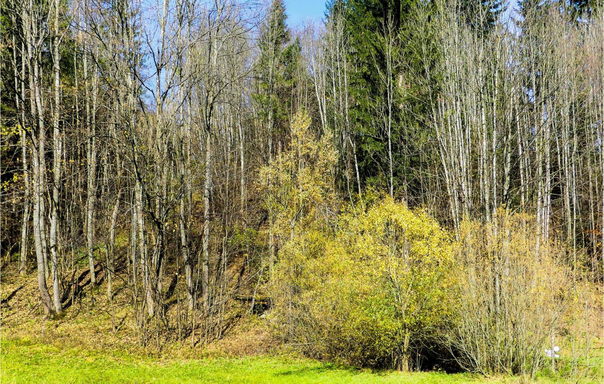 Ferienwohnung-Annaberg Luaran gambar